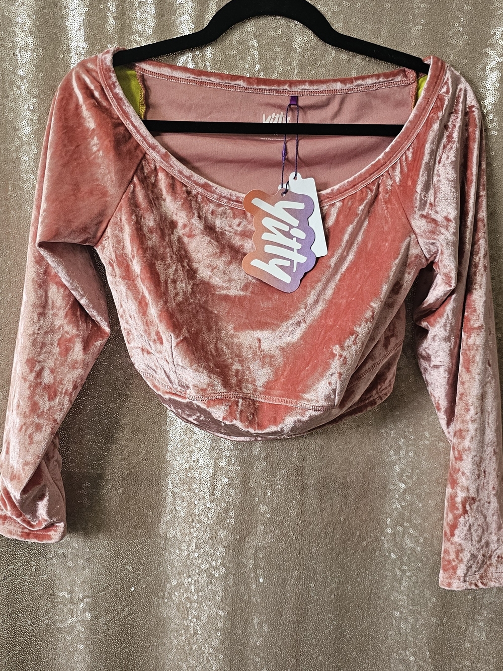 YITTY Rose Velvet Long Sleeve Crop Top